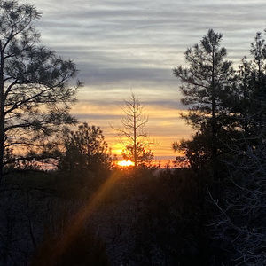 Meet your Posher, Chloe faith